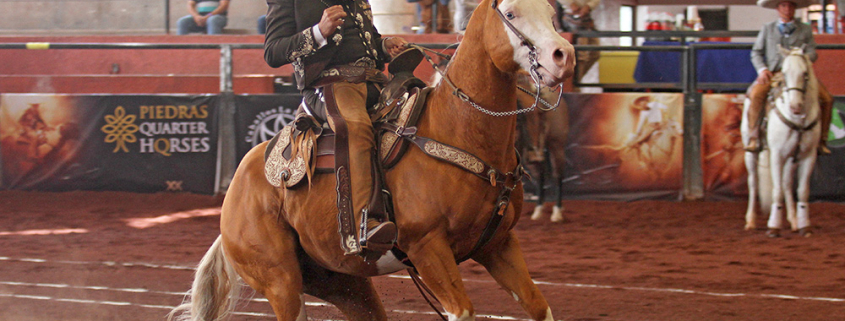 Miguel Ángel Vega presentó cala de caballo de 42 puntos para los Charros de La Laguna A