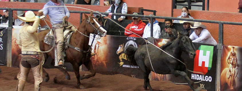 Óscar Arellano abrió la puerta para el triunfo de Grupo Xicuco con dos manganas a pie