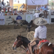 Enrique Jimenez de 3 Potrillos en una mangana a caballo
