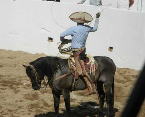 Miguel Ortega en manganas a caballo 2