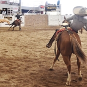 Gustavo Cano lució con tres soberbias manganas a caballo para Trareysa de Tamaulipas