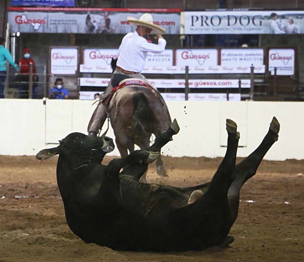 Felipe Hermosillo abanicó a este toro en su tercera pasada de colas, defendiendo los colores de Hacienda El Rosario