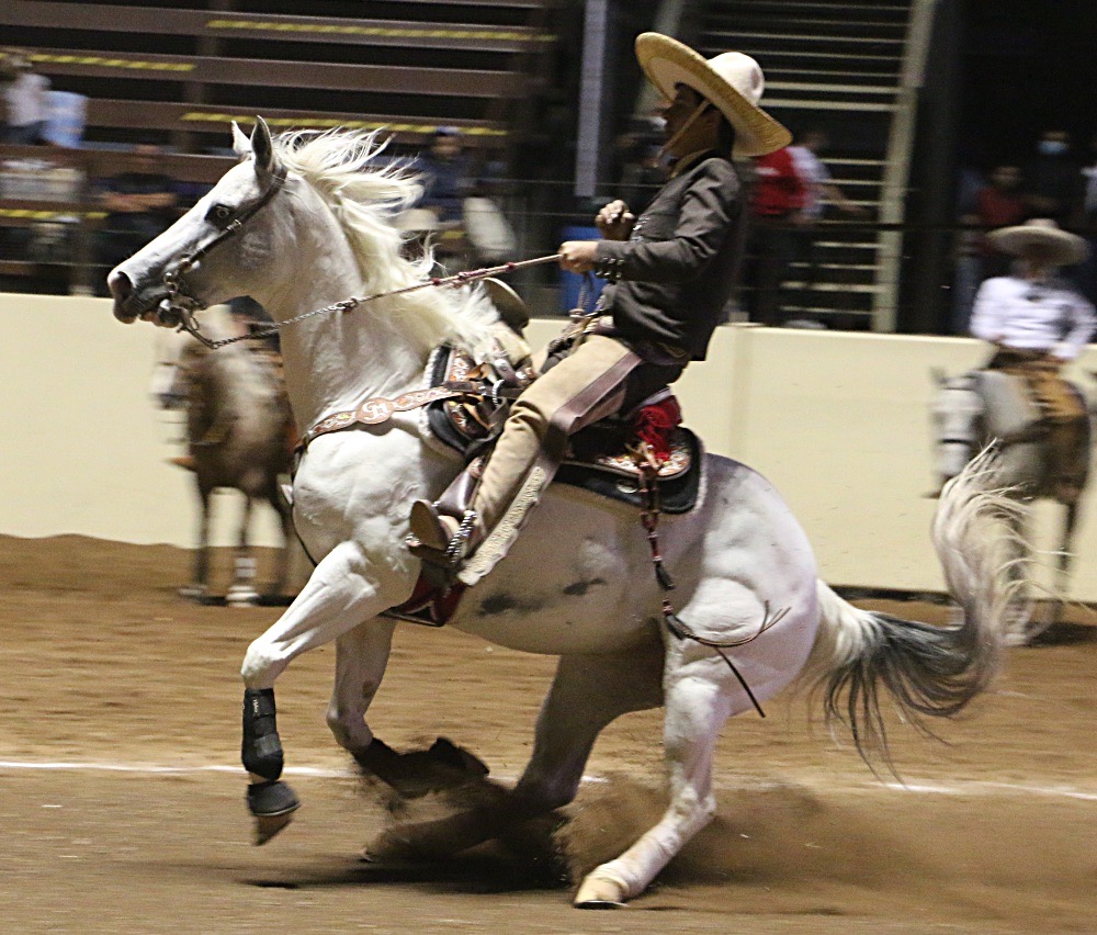Con 38 puntos fue calificada la cala de caballo que ejecutó Gabriel Muñoz Ledo para Rancho El Diamante