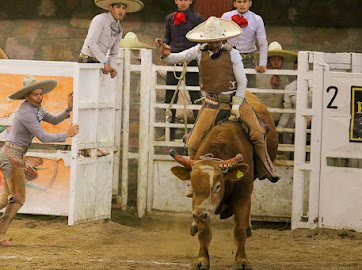 Octavio Torres cooperó a la causa de Potrillos RG2 con su jineteo de toro de 20 buenos