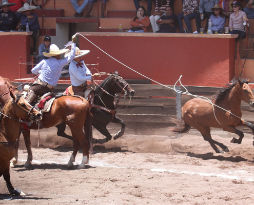 Andrés Navarrete sacó la casta con las tres manganas a caballo para Rancho La Biznaga Oro San Agustí