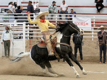 Guadalupe Quiroz presentó la cala de caballo de 30 unidades para Herradura Villa de Cos