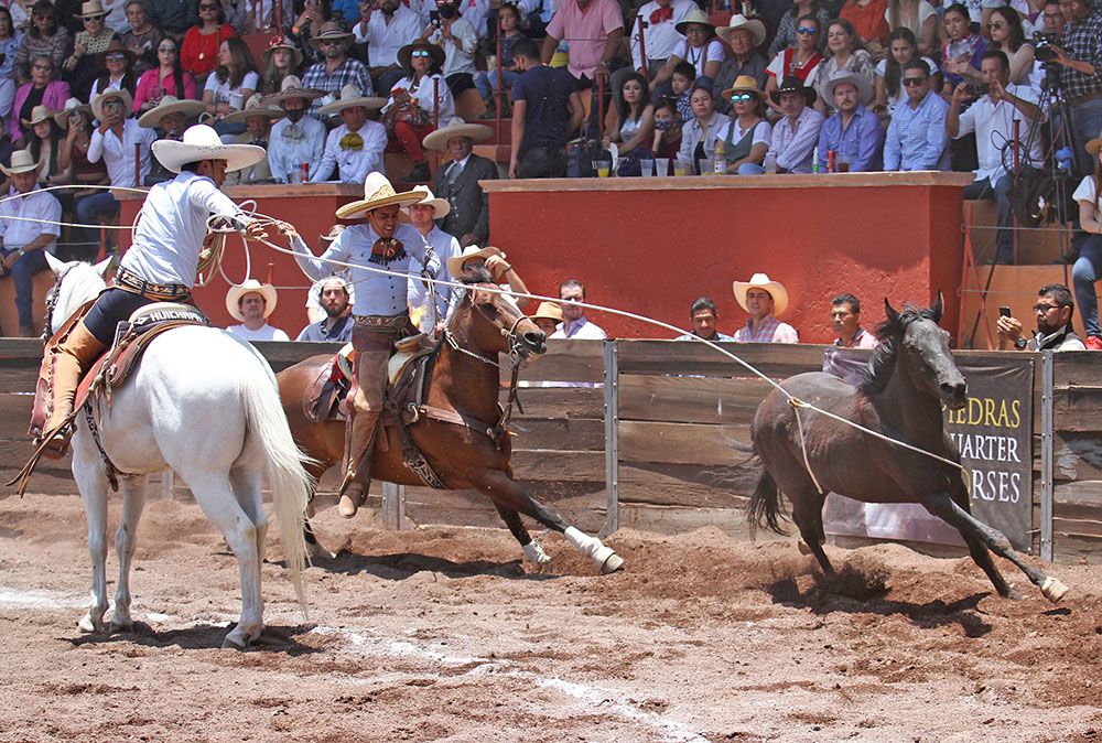 Luis Fernando Pérez acertó sus tres manganas a caballo para los Charros de Huichapan ante la algarabía de la afición local