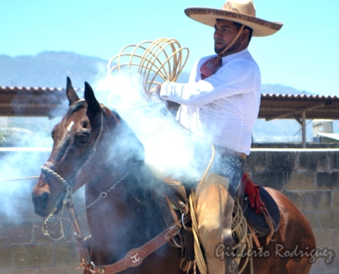 El “Pichón” Hernández cuajando un pial por Rancho El Alazán