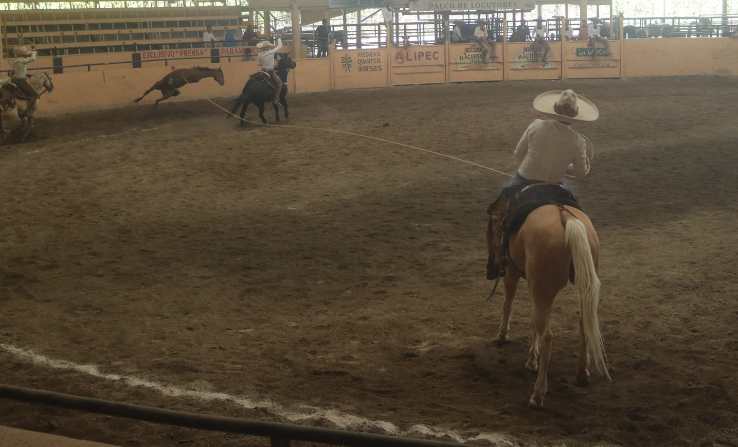 Jorge Pasillas apuntaló a Rancho El Diamante en manganas a caballo.