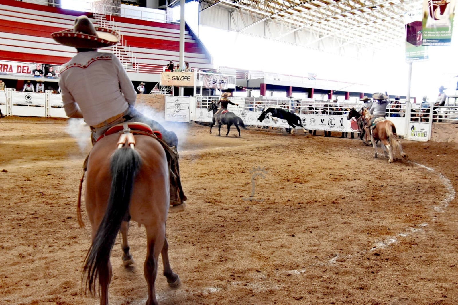 Mangana a caballo estatal Zacatecas 2022