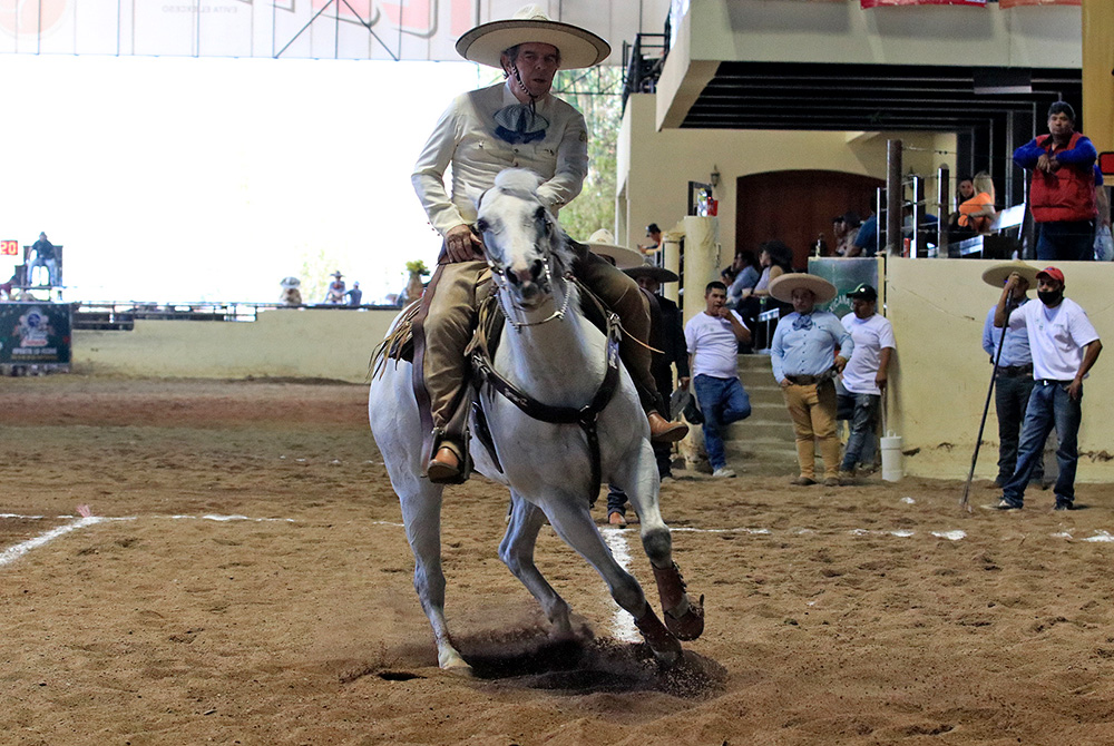 Carlos Maurer Espinoza de Hacienda Tamariz logró 38 unidades en la suerte de la cala de caballo