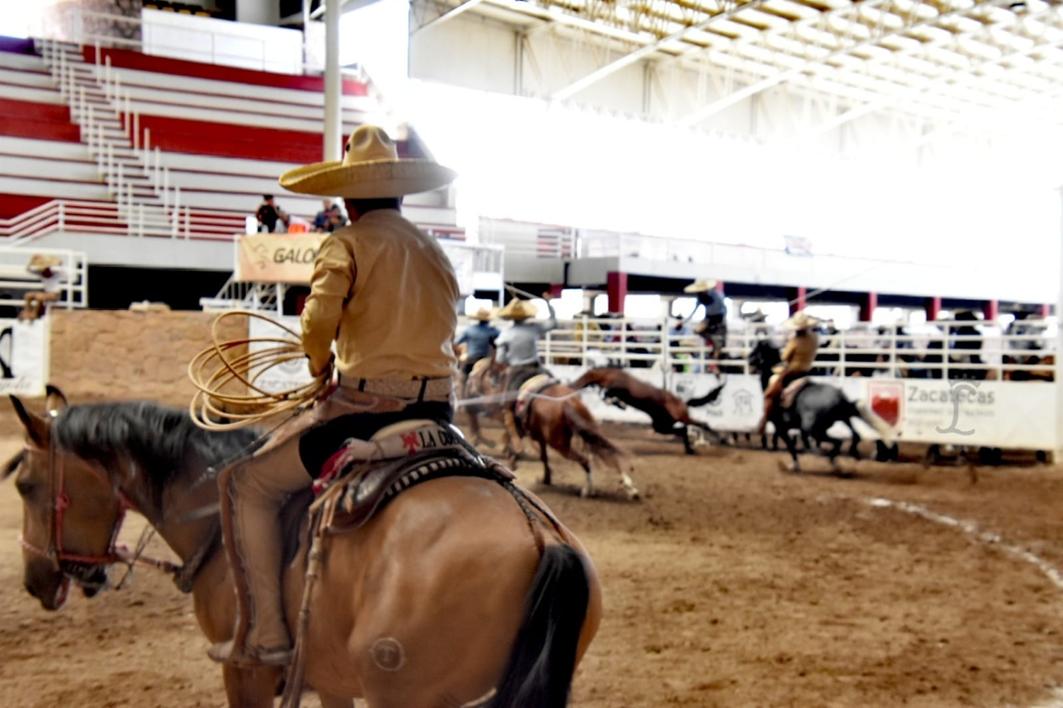 Mangana a caballo Estatal Zacatecas 2022