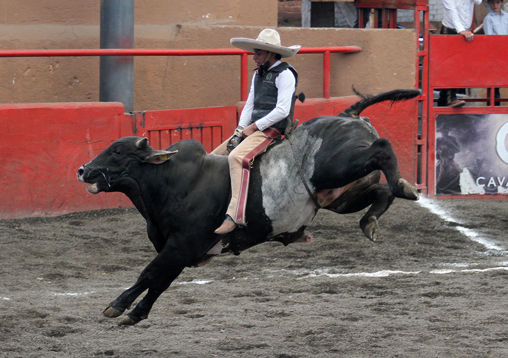 Efrén Camacho consiguió 17 unidades de una muy buena jineteada de toro para Rancho El Salitre