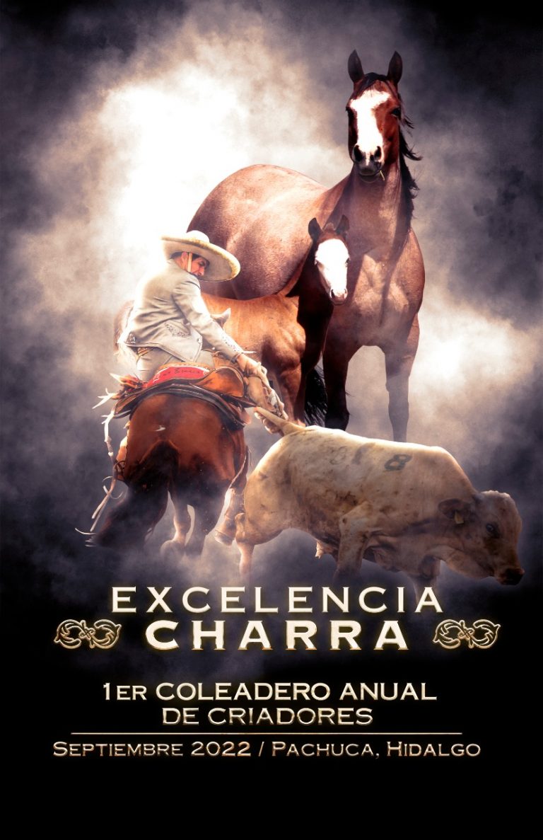 Flyer finales de Circuito Excelencia Pachuca 2022