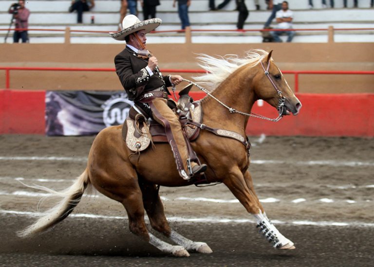 El caballo que caló Miguel Ángel Vega logró una punta de 20 metros en un solo tiempo y ganó 41 puntos para Charros de La Laguna “A”