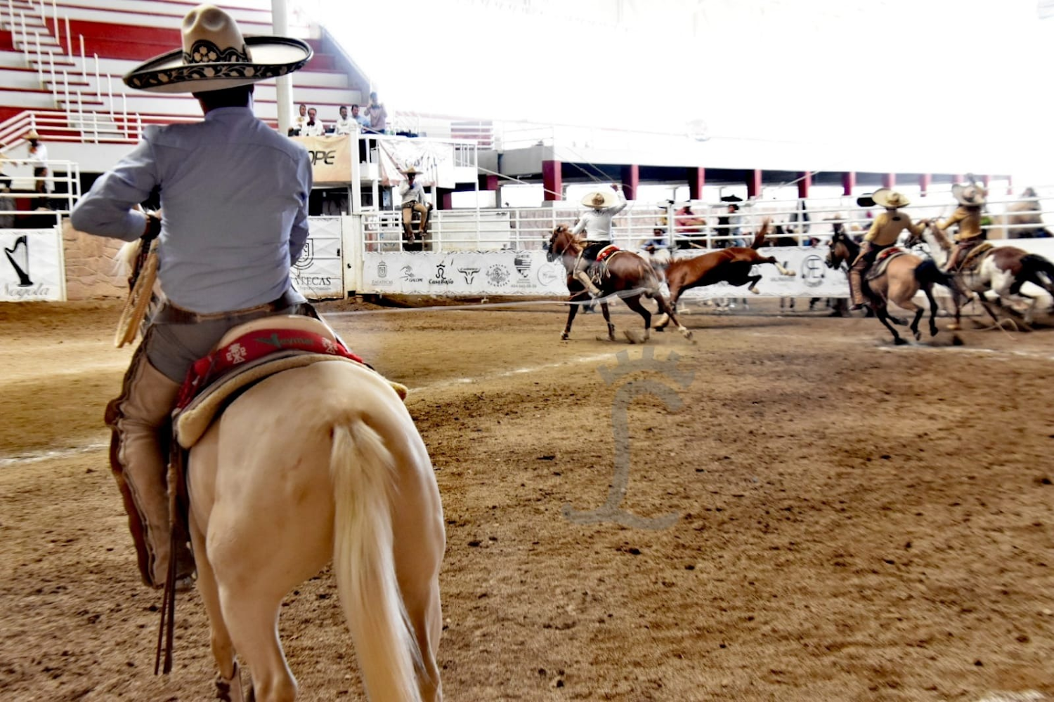 Mangana a caballo Estatal Zacatecas 2022