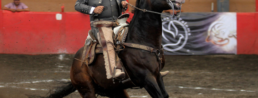 Alejandro Goñi abrió la cuenta de Rancho Las Cuatas con esta cala de caballo de 42 puntos