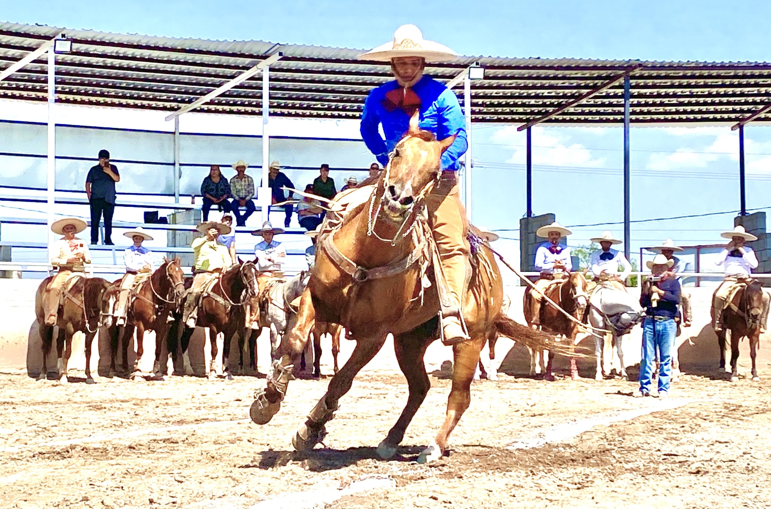 Cala de caballo realizada por Jorge Gerardo Becerril, de los charros Centauros de San Juan del Río.