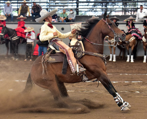 Emiliano García Rubio ejecutando la punta, durante la cala de caballo de Rancho La Cinta