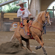 Alejandro Cortés presentando la punta de su cabalgadura, durante la suerte de la cala para Rancho Flor de Lis