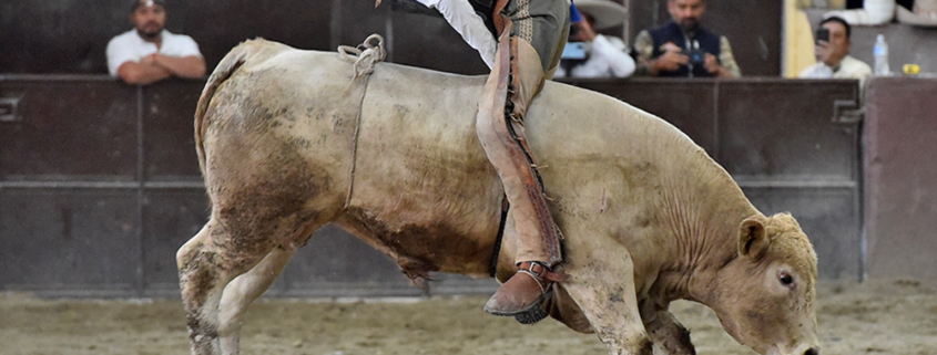 David Tavera de Rancho Las Amazonas se la jugó con esta emocionante jineteada de toro cara atrás