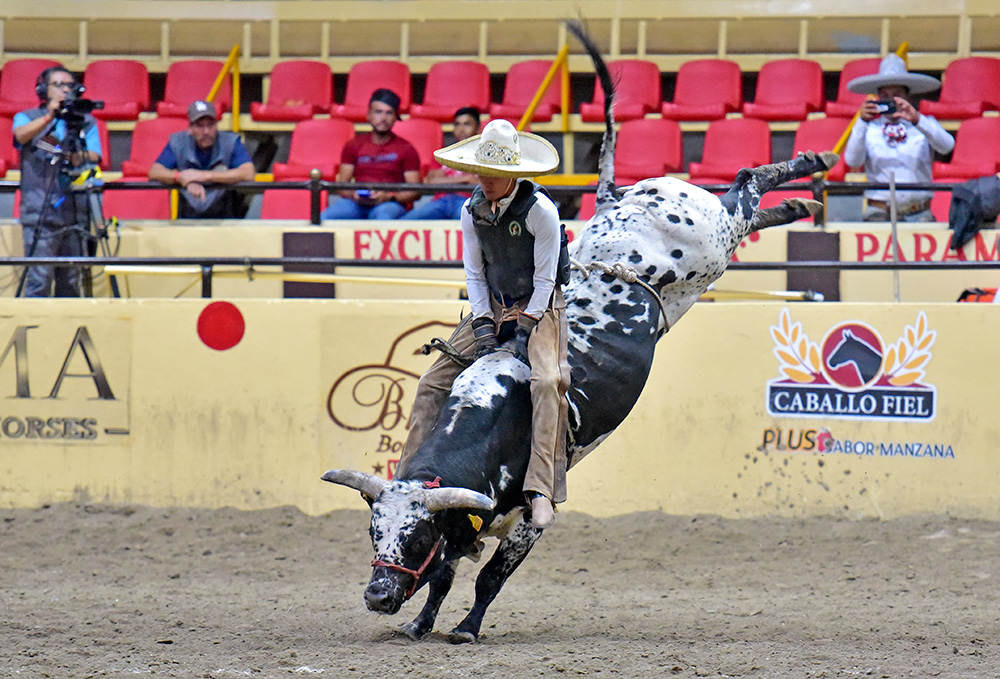 Espectacular jineteada de toro de Aldo Aparicio de Prado Verde, líder individual de esta faena