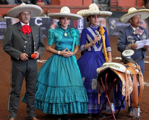 Miguel Ángel Soler, María José Covarrubias, Andrea Rosales y Trinidad Peralta comparten micrófonos en esta última fase eliminatoria