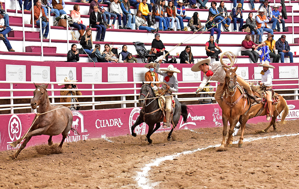 Alfredo Córdova Valdés agarró dos manganas a caballo para Hacienda La Purísima