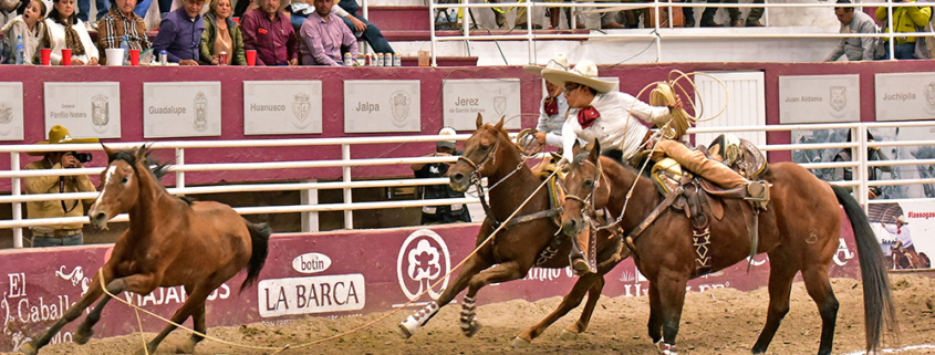 Alfredo Leal Zaragoza cuajando una de sus dos manganas a caballo para Rancho San Miguel