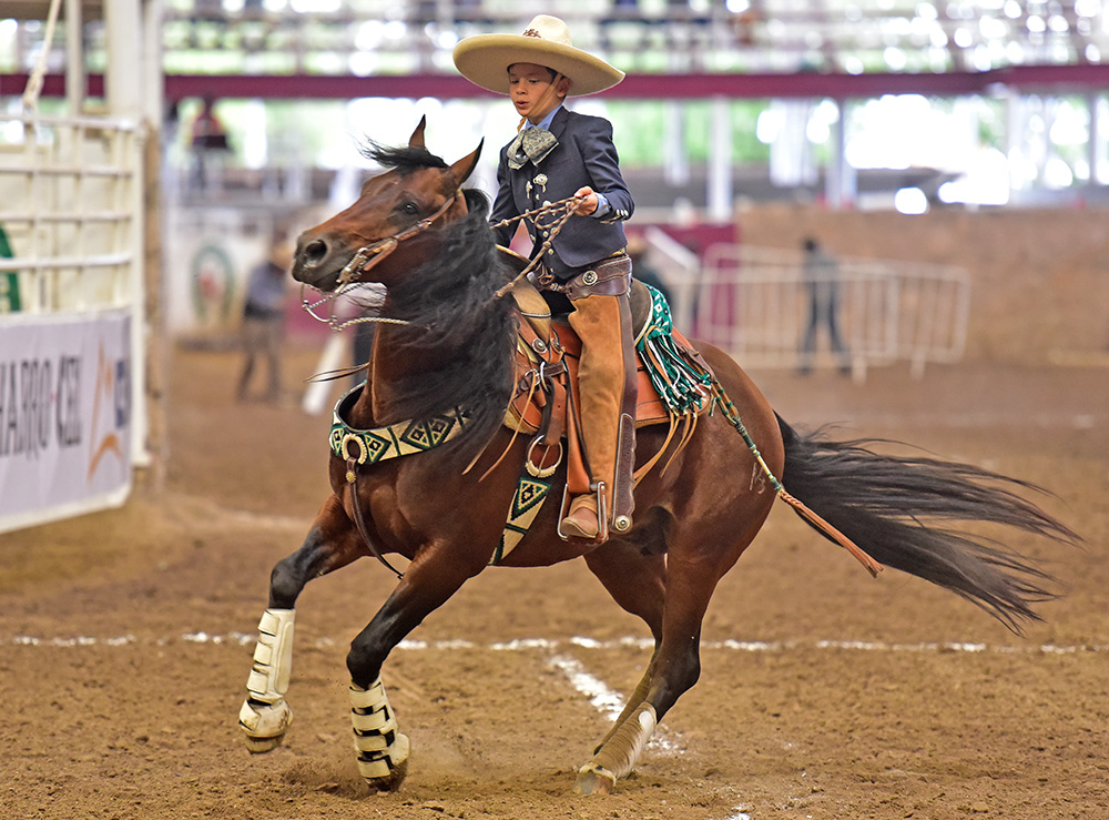El pequeño Diego Guzmán presentó la cala de caballo de Charros de Morelia Oro