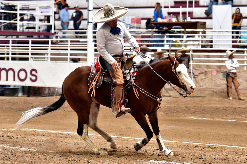 Fueron 27 unidades los que ganó Alejo Morales Juárez durante la cala de caballo de Bicentenario