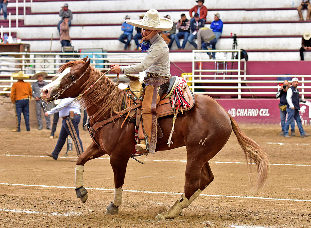 La cala de caballo de Jesús Ricardo Casillas de La Mora fue calificada con 35 puntos para Rancho Licea