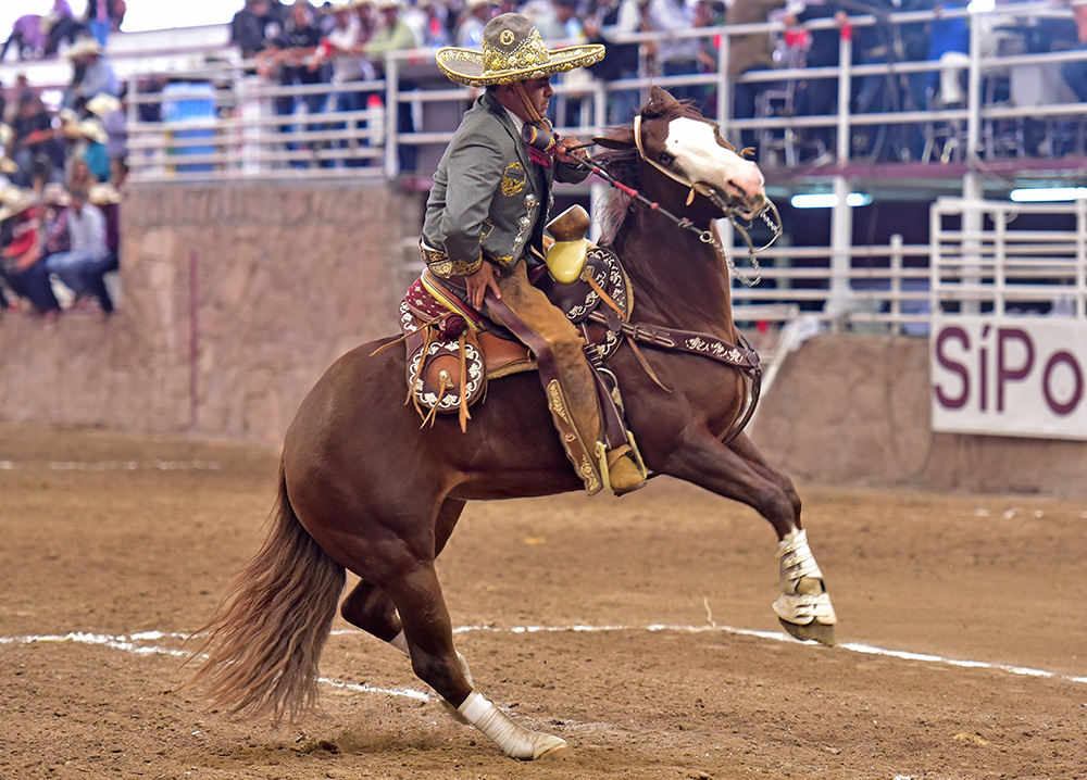 Víctor Manuel Osornio Victoria ejecutando un medio lado durante la cala de caballo de Rancho El Secreto Tequila Campo Azul