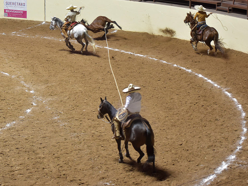 Alejandro Balleza derribando su mangana a caballo por Morelia La Voz