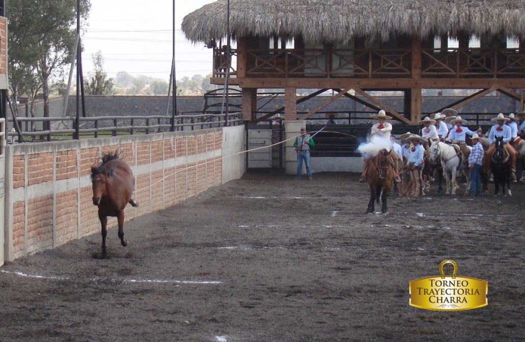 Rancho EL Diamante y Gala de Monturas mostraron su poderío Portal