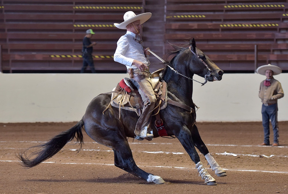 Juan Zermeño Torres presentó cala de caballo de 33 unidades