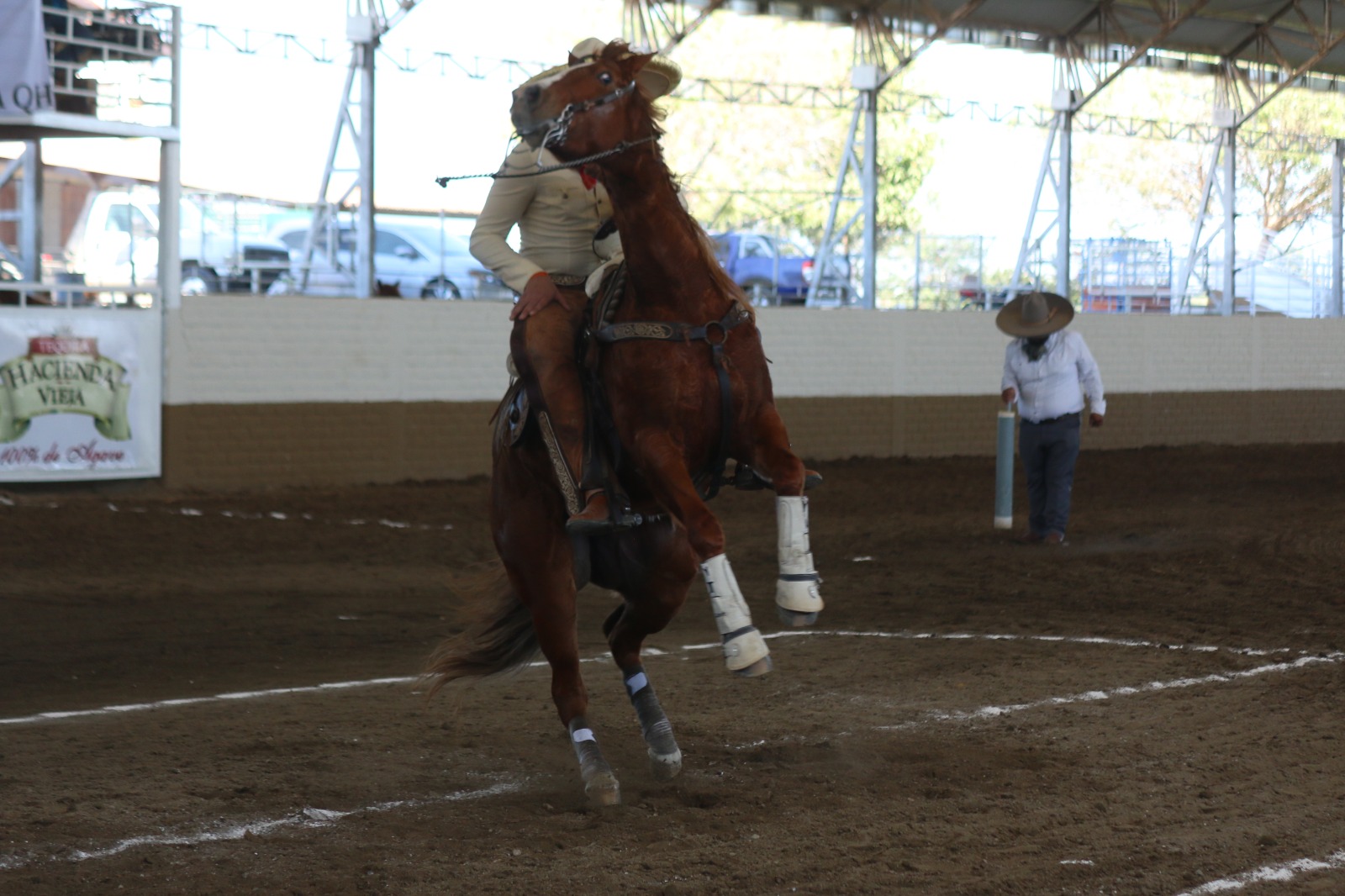 Las Delicias rancho de Colorado E.U. llevan la mejor cala de caballo en las riendas de Roberto Torres