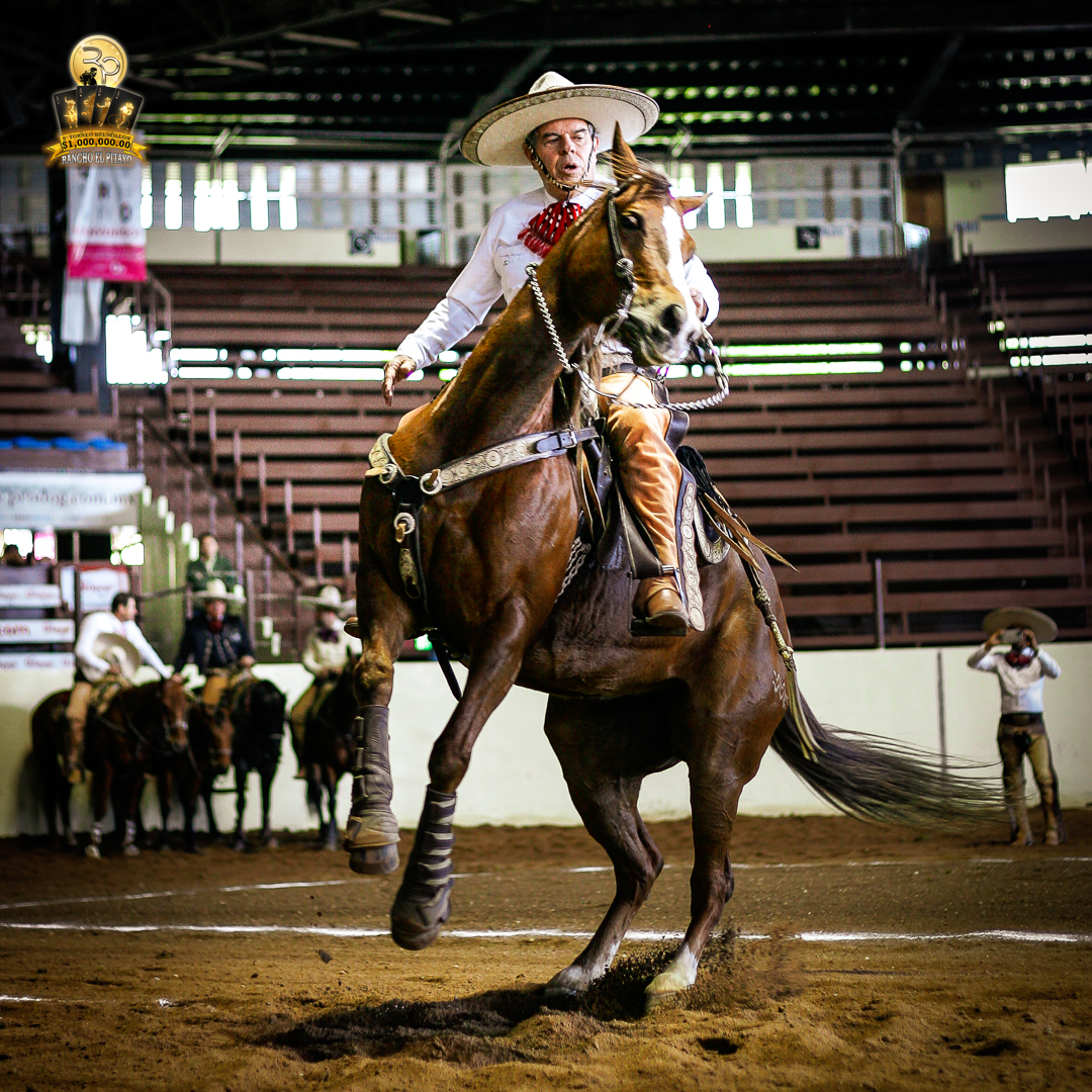 Carlos Maurer logró 37 unidades en la cala de caballo para Hacienda Tamariz de Puebla