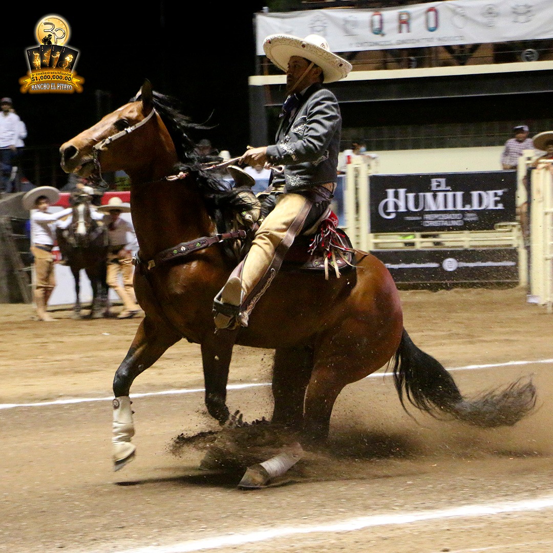 La cabalgadura que caló Antonio Díaz Paz rayó 19 metros en tres tiempos en la punta, durante la cala de All Horses