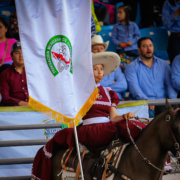 La Federación Mexicana de Charrería continua laborando en favor del desarrollo y fomento del deporte nacional entre la niñez y la juventud mexicana