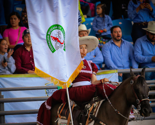 La Federación Mexicana de Charrería continua laborando en favor del desarrollo y fomento del deporte nacional entre la niñez y la juventud mexicana