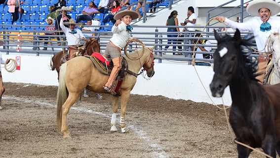 Una buena mangana a caballo acertó Emanuel Arredondo Lomelí de El Rayito