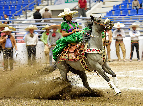  Buena punta presentó Ana Lucía Córdova González de El Rayito Infantil "B", con una cabalgadura que rayó 19.37 metros en cuatro tiempos