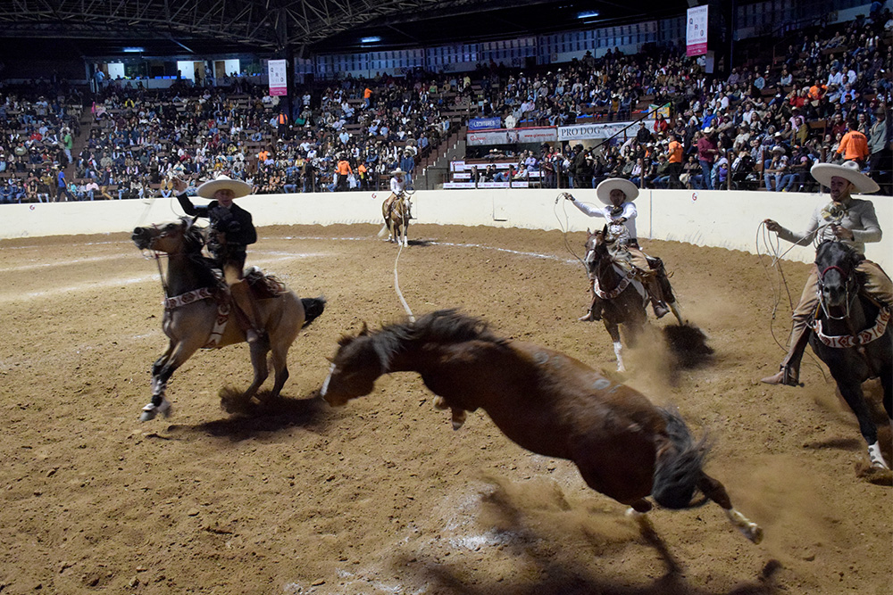 Enrique Jiménez Martínez enloqueció a los aficionados al acertar sus tres manganas a caballo por los Tres Potrillos de Jalisco