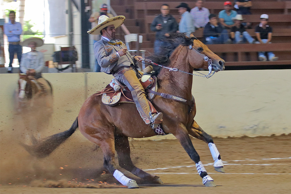 Manuel Osornio presentando la punta de su cabalgadura para lograr 43 puntos para Rancho El Secreto Tequila Campo Azul