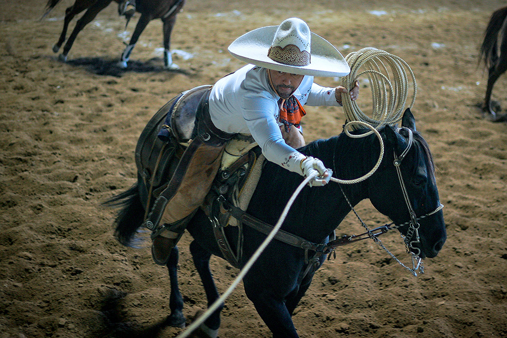 Momento en el que Jorge Castillo, de Rancho La Campanita, remata una de las dos manganas a caballo que cuajó por cuenta de su escuadrón bajacaliforniano