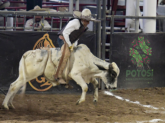 Buena monta de toro completó Juan López Ramos, cobrando 23 unidades para Rancho El Alazán