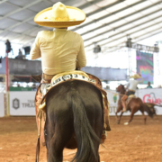 Pedro Antonio Bañuelos Ruiz levantó a Las Tres B de Aguascalientes con sus manganas a caballo que acertó para cobrar 67 tantos