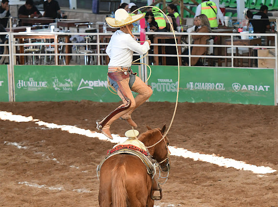 Bonita estampa de Vicente Palacios García, ejecutando pasadas sobre el caballo durante la terna de El Marqués "B"