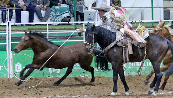 Gustavo López Rodríguez levantó al escuadrón La Colonial de Jerez con sus tres manganas a caballo